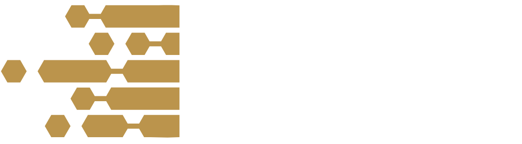 ZZPWebstart logo